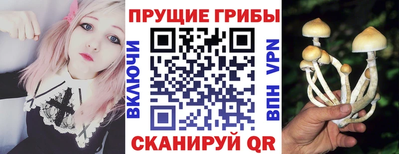 Псилоцибиновые грибы GOLDEN TEACHER  наркотики  Бузулук 